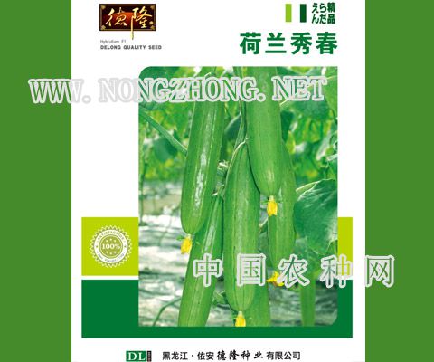 荷兰秀春